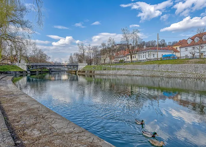 City Flow - Happy Apartman *